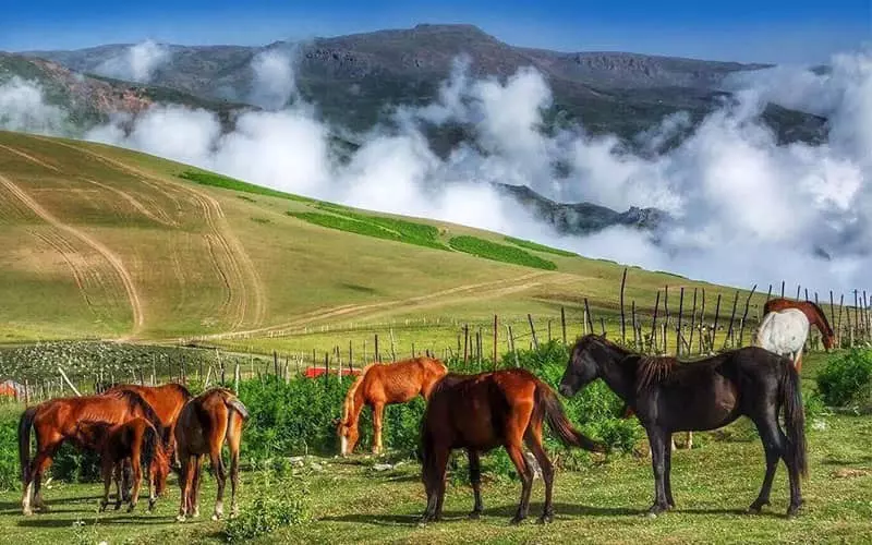 سوباتان